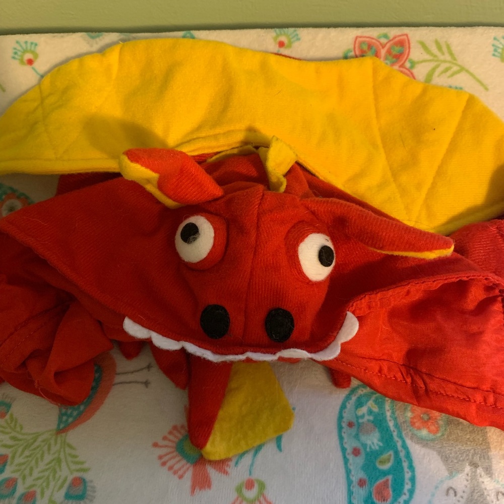 Small Dog 🐕 Dragon Halloween Costume 🐉
